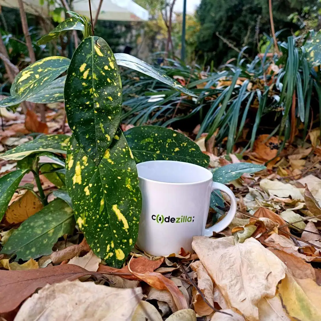 Image of a Codezilla branded cup