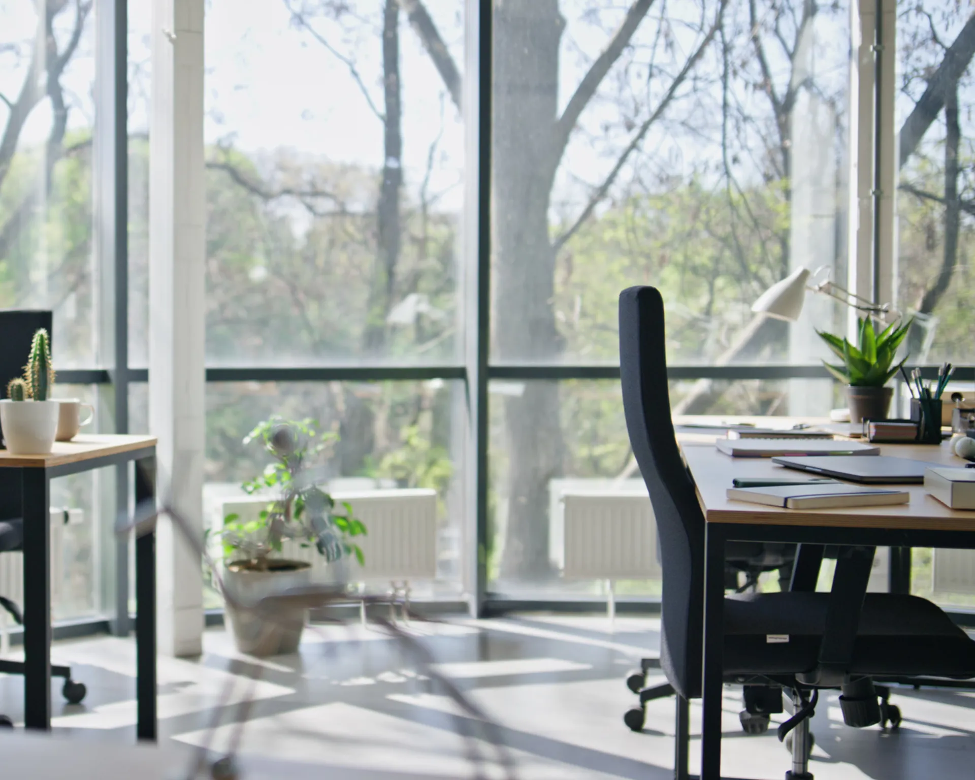Bright workspace with modern desks and an open, outdoor view